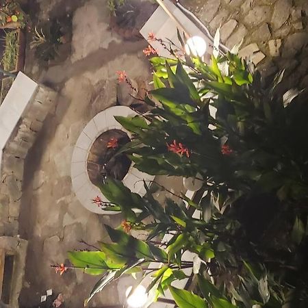 Kasauli Cascade A Cheerfull 4 Bedroom Challet מראה חיצוני תמונה