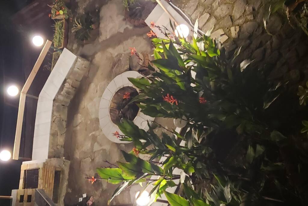 Kasauli Cascade A Cheerfull 4 Bedroom Challet מראה חיצוני תמונה
