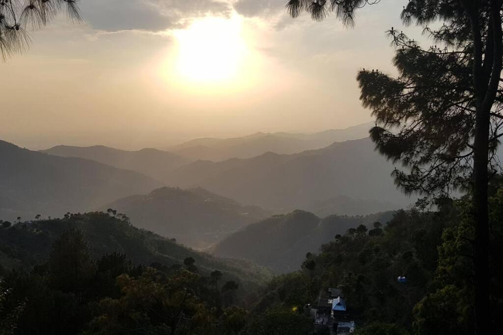 Kasauli Cascade A Cheerfull 4 Bedroom Challet מראה חיצוני תמונה