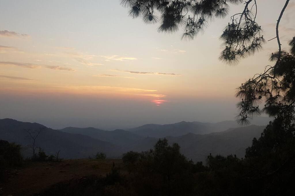Kasauli Cascade A Cheerfull 4 Bedroom Challet מראה חיצוני תמונה