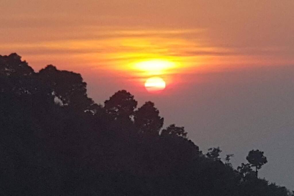Kasauli Cascade A Cheerfull 4 Bedroom Challet מראה חיצוני תמונה