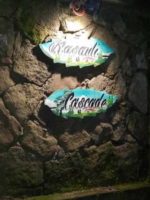 Kasauli Cascade A Cheerfull 4 Bedroom Challet מראה חיצוני תמונה