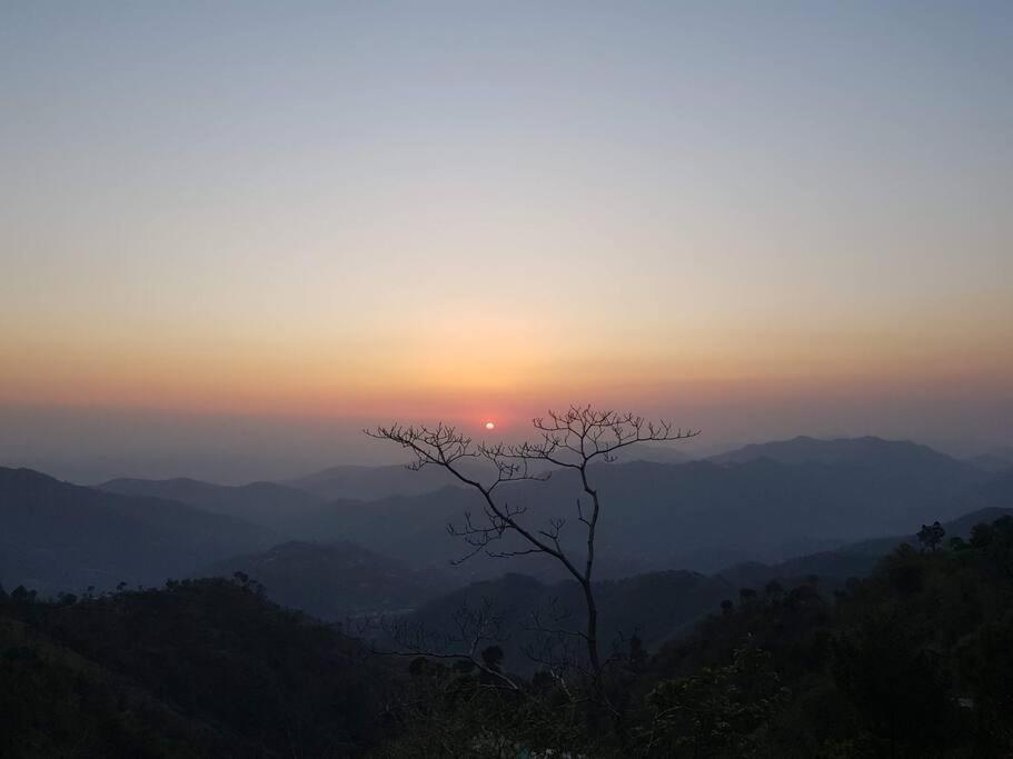 Kasauli Cascade A Cheerfull 4 Bedroom Challet מראה חיצוני תמונה