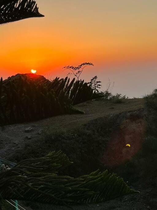 Kasauli Cascade A Cheerfull 4 Bedroom Challet מראה חיצוני תמונה